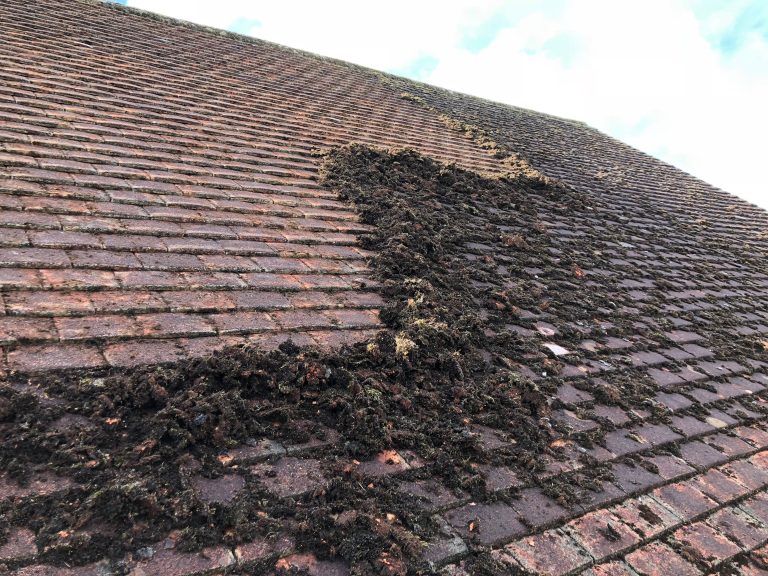 Roof Midway Through Moss Removal